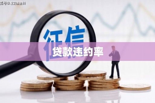 安宁贷款违约率