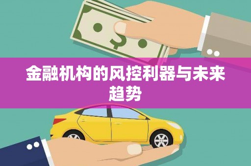 安宁金融机构的风控利器与未来趋势
