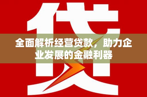 安宁全面解析经营贷款，助力企业发展的金融利器