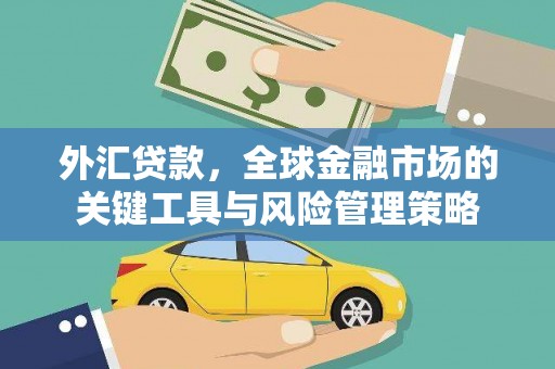 安宁外汇贷款，全球金融市场的关键工具与风险管理策略