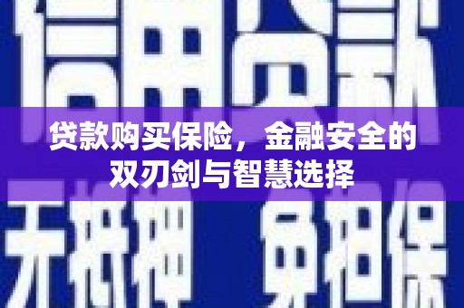 安宁贷款购买保险，金融安全的双刃剑与智慧选择