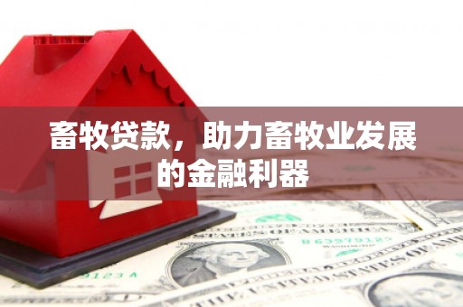 安宁畜牧贷款，助力畜牧业发展的金融利器