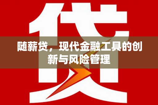 安宁随薪贷，现代金融工具的创新与风险管理