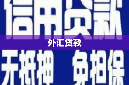 安宁外汇贷款