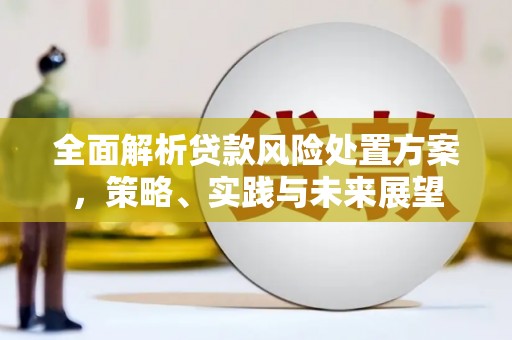 安宁全面解析贷款风险处置方案，策略、实践与未来展望