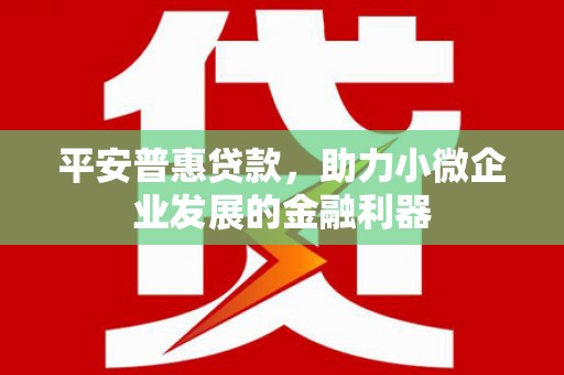 安宁平安普惠贷款，助力小微企业发展的金融利器