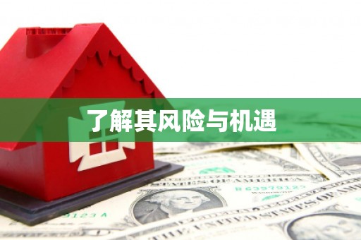 安宁了解其风险与机遇