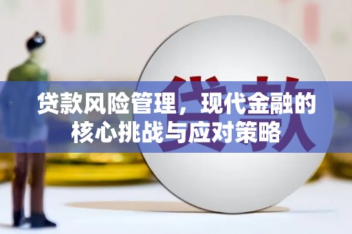安宁贷款风险管理，现代金融的核心挑战与应对策略