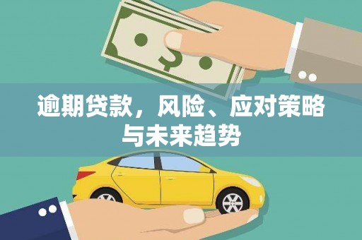 安宁逾期贷款，风险、应对策略与未来趋势