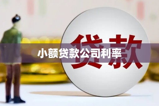 安宁小额贷款公司利率