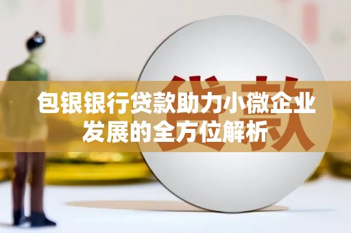 安宁包银银行贷款助力小微企业发展的全方位解析