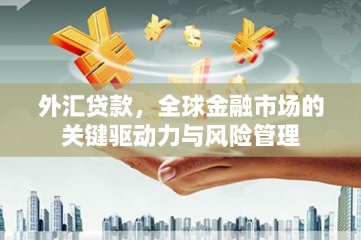 安宁外汇贷款，全球金融市场的关键驱动力与风险管理