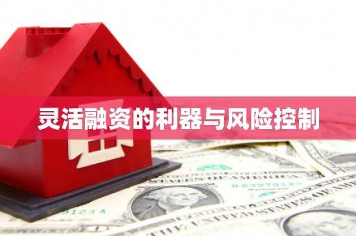安宁灵活融资的利器与风险控制
