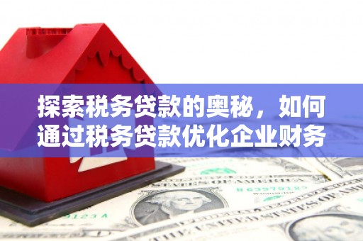 安宁探索税务贷款的奥秘，如何通过税务贷款优化企业财务