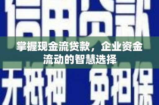 安宁掌握现金流贷款，企业资金流动的智慧选择