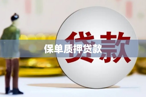 安宁保单质押贷款