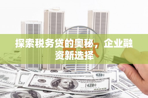 安宁探索税务贷的奥秘，企业融资新选择
