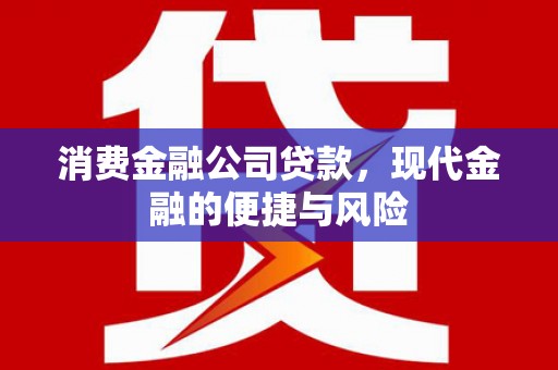 安宁消费金融公司贷款，现代金融的便捷与风险