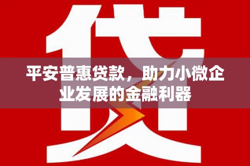 安宁平安普惠贷款，助力小微企业发展的金融利器