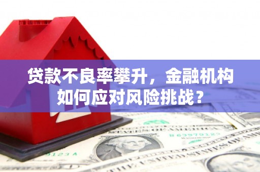 安宁贷款不良率攀升，金融机构如何应对风险挑战？