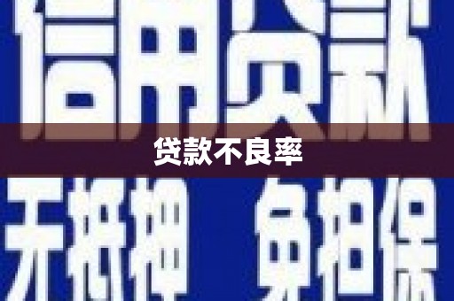 安宁贷款不良率