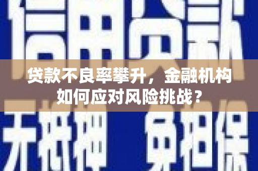 安宁贷款不良率攀升，金融机构如何应对风险挑战？