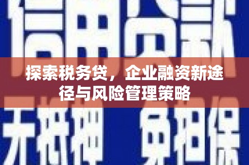 安宁探索税务贷，企业融资新途径与风险管理策略