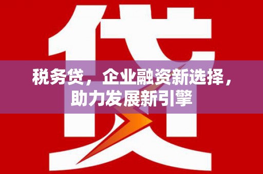 安宁税务贷，企业融资新选择，助力发展新引擎