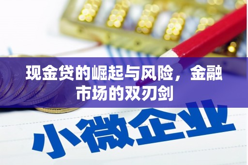 安宁现金贷的崛起与风险，金融市场的双刃剑