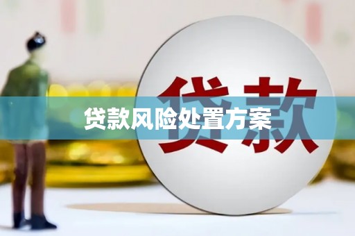 安宁贷款风险处置方案