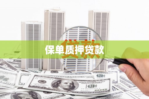 安宁保单质押贷款