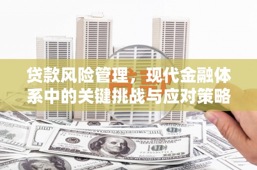 安宁贷款风险管理，现代金融体系中的关键挑战与应对策略