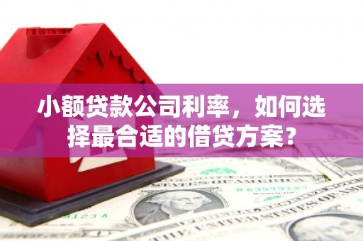 安宁小额贷款公司利率，如何选择最合适的借贷方案？