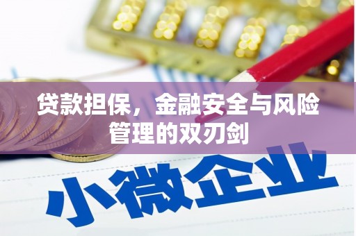 安宁贷款担保，金融安全与风险管理的双刃剑