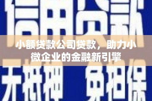 安宁小额贷款公司贷款，助力小微企业的金融新引擎