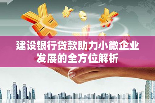 安宁建设银行贷款助力小微企业发展的全方位解析
