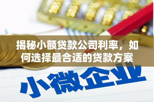 安宁揭秘小额贷款公司利率，如何选择最合适的贷款方案