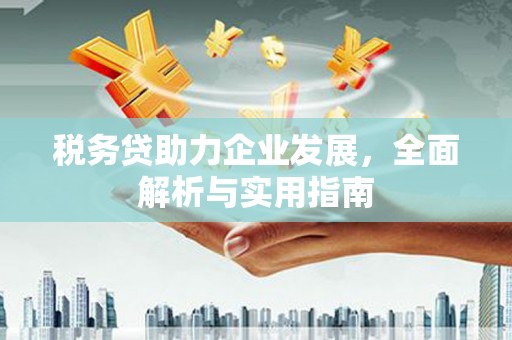 安宁税务贷助力企业发展，全面解析与实用指南