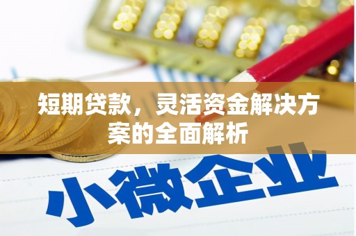 安宁短期贷款，灵活资金解决方案的全面解析
