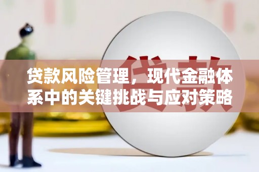 安宁贷款风险管理，现代金融体系中的关键挑战与应对策略