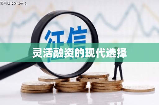 安宁灵活融资的现代选择