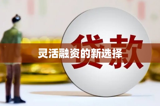 安宁灵活融资的新选择