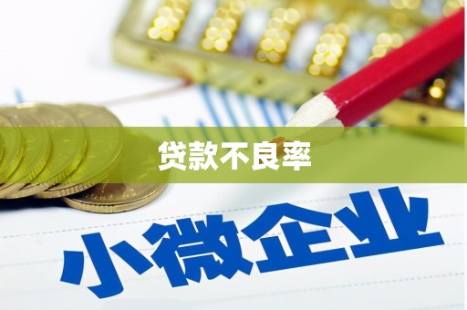 安宁贷款不良率