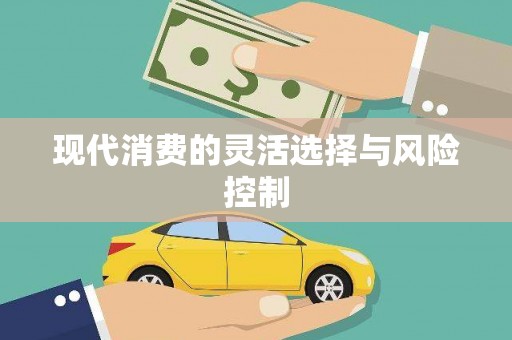 安宁现代消费的灵活选择与风险控制
