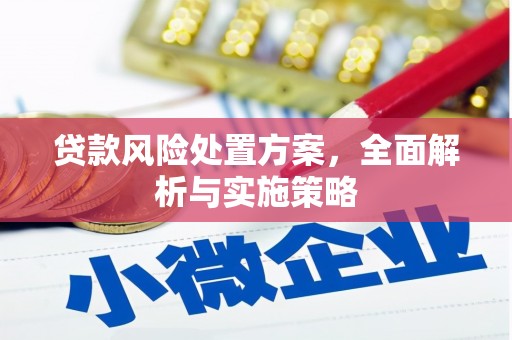 安宁贷款风险处置方案，全面解析与实施策略