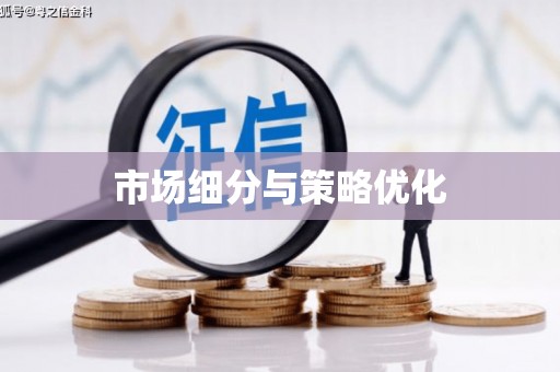 安宁市场细分与策略优化