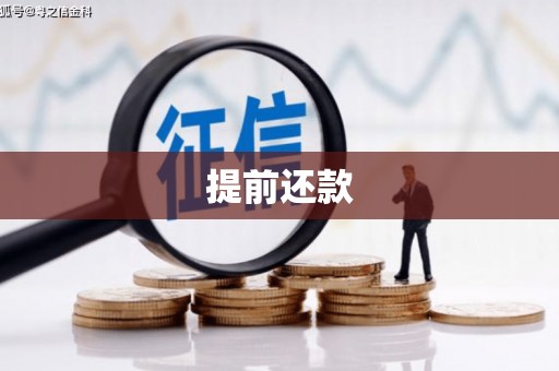 安宁提前还款