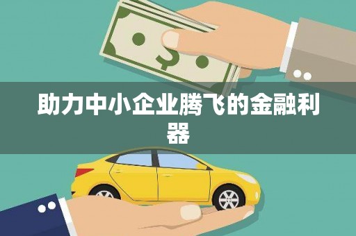 安宁助力中小企业腾飞的金融利器