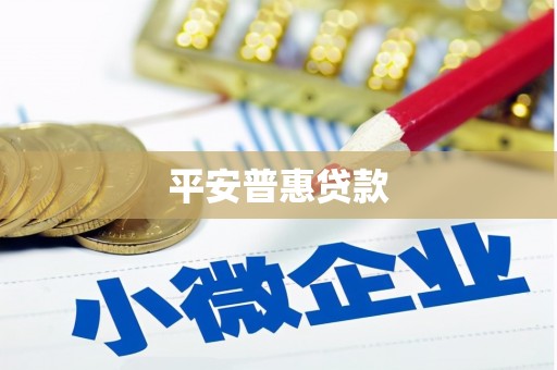 安宁平安普惠贷款